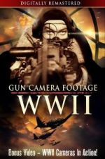 Watch Gun Camera Footage WWII Merdb