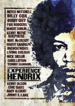 Watch Experience Jimi Hendrix Merdb
