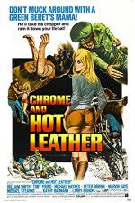Watch Chrome and Hot Leather Merdb