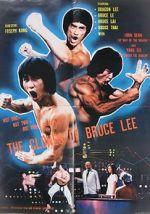 Watch The Clones of Bruce Lee Merdb