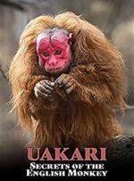 Watch Uakari: Secrets of the English Monkey Merdb