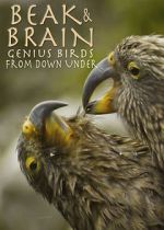 Watch Beak & Brain - Genius Birds from Down Under Merdb