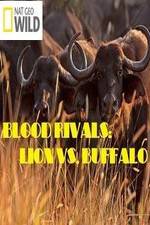 Watch National Geographic - Blood Rivals: Lion vs. Buffalo Merdb