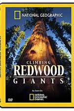 Watch National Geographic Explorer: Climbing Redwood Giants Merdb