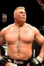 Watch Brock Lesnar 7 Fights Merdb