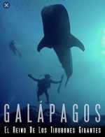Watch Galapagos: Realm of Giant Sharks Merdb