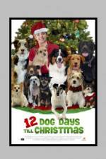 Watch 12 Dog Days of Christmas Merdb