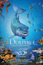 Watch The Dolphin Story of a Dreamer Merdb