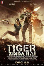 Watch Tiger Zinda Hai Merdb