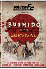 Watch Pride Bushido 11 Merdb