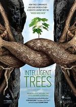 Watch Intelligent Trees Merdb