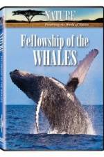 Watch Fellowship Of The Whales Merdb