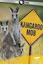 Watch Kangaroo Mob Merdb