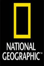 Watch National Geographic Wild Night Of The Lion Merdb