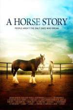 Watch A Horse Story Merdb