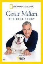 Watch Cesar Millan: The Real Story Merdb