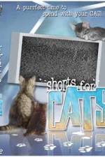 Watch Shorts for Cats Merdb