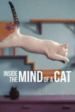 Watch Inside the Mind of a Cat Merdb