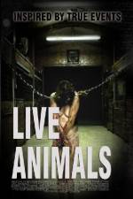 Watch Live Animals Merdb