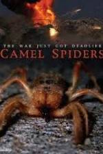 Watch Camel Spiders Merdb