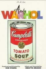 Watch Andy Warhol Merdb