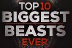 Watch Top 10 Biggest Beasts Ever Merdb