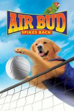 Watch Air Bud: Spikes Back Merdb