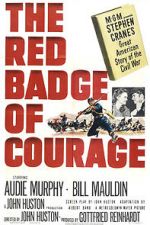 Watch The Red Badge of Courage Merdb
