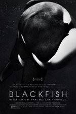 Watch Blackfish Merdb