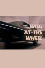 Watch Wild at the Wheel Merdb