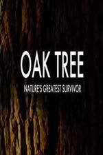 Watch Oak Tree Natures Greatest Survivor Merdb
