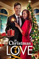 Watch A Christmas Love Merdb