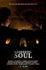 Watch Wandering Soul Merdb