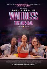 Watch Waitress: The Musical Merdb