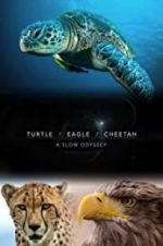 Watch Turtle, Eagle, Cheetah: A Slow Odyssey Merdb