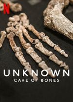 Watch Unknown: Cave of Bones Merdb