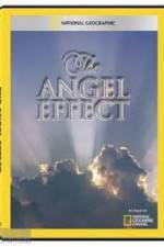Watch National Geographic Explorer - The Angel Effect Merdb