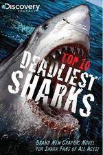 Watch National Geographic Worlds Deadliest Sharks Merdb