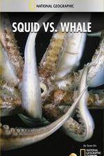 Watch National Geographic Wild - Squid Vs Whale Merdb