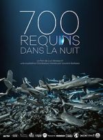 Watch 700 requins dans la nuit Merdb