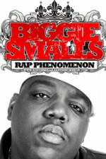Watch Biggie Smalls Rap Phenomenon Merdb