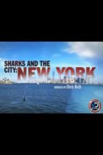 Watch Sharks and the City: New York Merdb