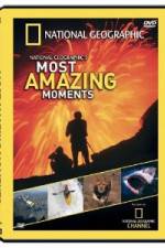 Watch National Geographic's Most Amazing Moments Merdb