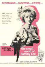 Watch The Small World of Sammy Lee Merdb