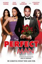 Watch The Perfect Man Merdb