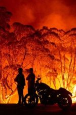 Watch Fire Fight Australia Merdb
