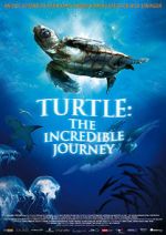 Watch Turtle: The Incredible Journey Merdb