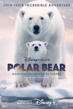 Watch Polar Bear Merdb