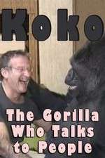 Watch Koko: The Gorilla Who Talks to People Merdb
