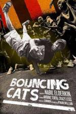 Watch Bouncing Cats Merdb
